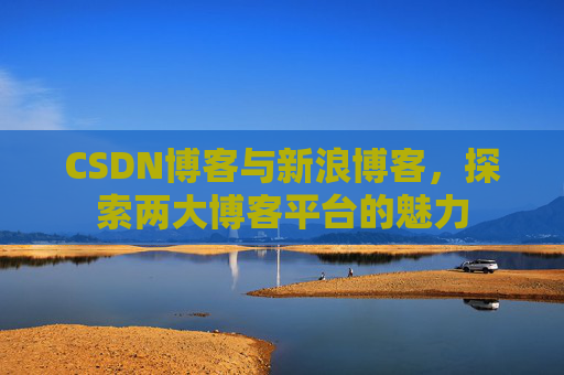 CSDN博客与新浪博客,探索两大博客平台的魅力